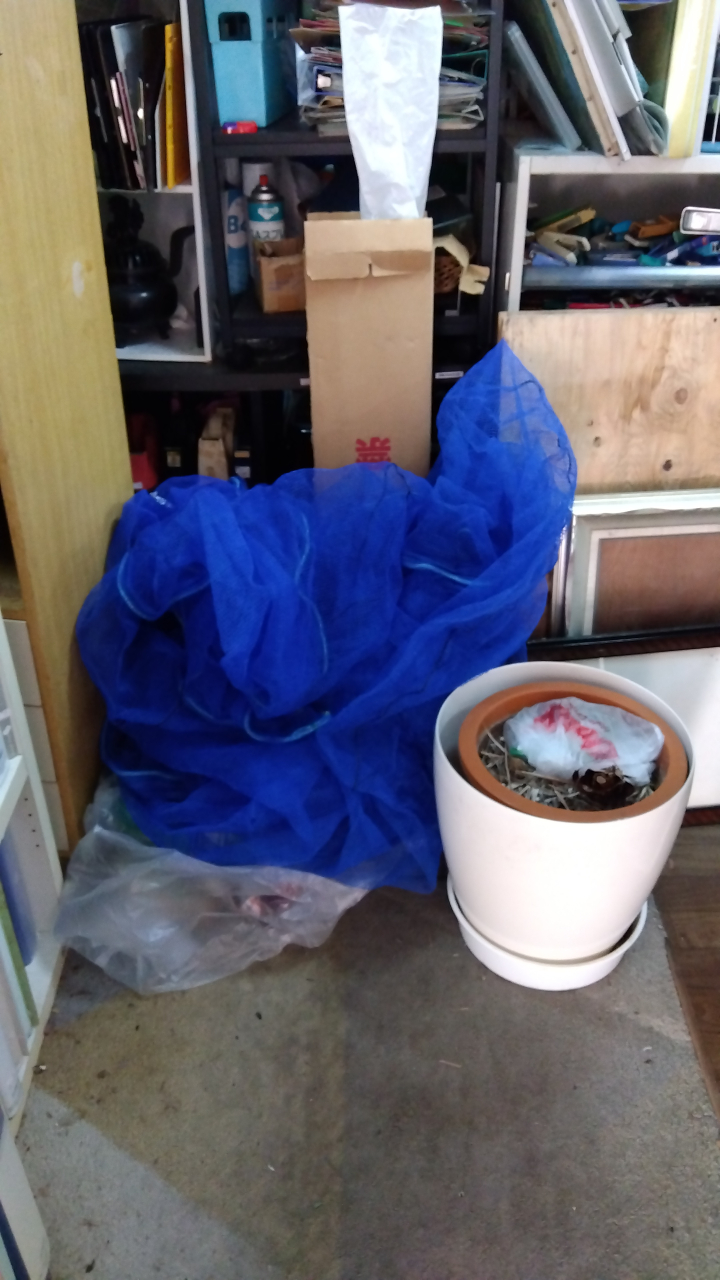 防鳥ネット引き取りました